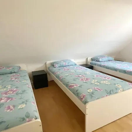 アパート Cozy In ドゥイスブルグ